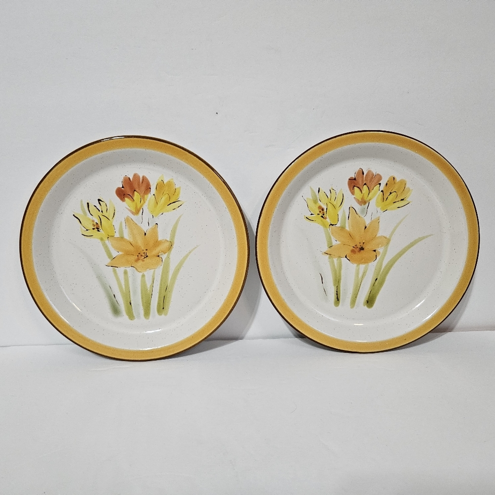 Endura by Wellin Vtg 70s 517 Bright Day Hand Painted Desert Plates Set Of 2